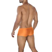c4mspx13-hipster-brief-copper-spring-3701705101449-cl3701705101449.jpg