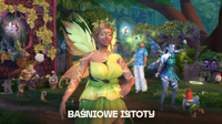 35541.jpg