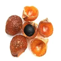RMY Soapnuts Seeds | 500gram With PP Packing,Are the RMY Soap Nuts Seeds Any Good for Washing,Why... - image 3