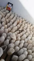 RMY White salt Lamps Price,Himalayan White Salt Crystal Lamp,White Salt Lamp - image 3