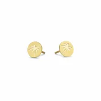ladies-earrings-co88-collection-8ce-70091-golden-s72111081-bbs72111081.jpg