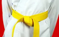 RMY Karate Yellow Belts,RMY Karate Uniform Belts - image 3