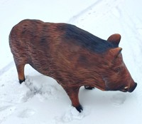 Wildschwein_Bache_FA_91-1.jpg