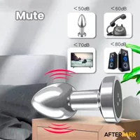 dimpor-chrome-anal-plug-with-vibration-and-magnetic-usb-size-l-ad-549-clad-549.jpg