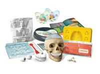 Naukowa-Zabawa-Zestaw-Zwariowana-Anatomia-Jezyk-Polski-Clementoni-50697__1250504__1200.jpg