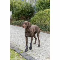 leg-protection-walker-trixie-19410-s0800434-bbs0800434.jpg