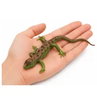 Jaszczurka-Zwinka-Gumowa-Figurka-Rozciagliwa-Realistyczna-15-cm__1317167__1200.jpg