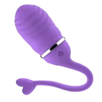 vibrating-egg-with-remote-control-odise-usb-silicone-purple-in-025-clin-025.jpg