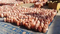 RMY Pink Salt Lamps 35-40kg,Buy Pink Himalayan Salt Lamp in Pakistan - image 2