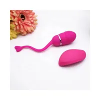 vibrating-egg-with-remote-control-odise-usb-silicone-pink-in-026-clin-026.jpg