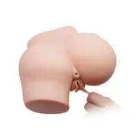 masturbator-vagina-and-ass-bm-009204z-1-clbm-009204z-1.jpg