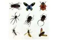Zestaw-Kreatywny-Prehistoria-Stworz-Bursztyn-Owady__1065548__1200.jpg