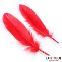 3-pieces-bondage-set-cuffs-eye-mask-and-feathers-8436615001446-cl8436615001446.jpg
