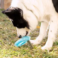 2-in-1-freezable-pet-chew-toy-glubiz-innovagoods-v0103697-bbv0103697.jpg