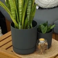 4360e3763a00c611179f94adb57caf70.jpg