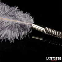 ostrich-feather-44-cm-8436615009862-cl8436615009862.jpg