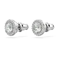ladies-earrings-swarovski-5636269-s7291061-bbs7291061.jpg