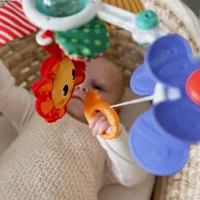 WOOPIE-BABY-Palak-Luk-Zawieszka-do-Lozeczka-Wozka-Fotelika__1253236__1200.jpg