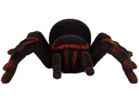 Zdalnie-Sterowany-Pajak-Tarantula-Czarny-RC__1067623__1200.jpg