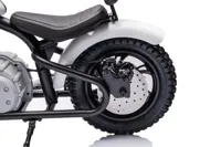 Motor-Na-Akumulator-A9902-36V-Bialy__1105865__1200.jpg