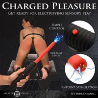 spark-rod-zapping-wand-with-electro-shock-848518054197-cl848518054197.jpg