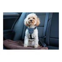 dog-harness-company-of-animals-carsafe-black-xs-s6103613-bbs6103613.jpg