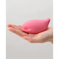massager-iroha-pink-s4006563-bbs4006563.jpg