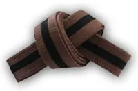 RMY Taekwondo Brown Belts and Black Stripes,RMY Amaing Quality Taekwondo Belts - image 2