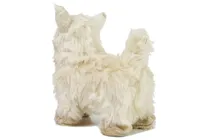 Interaktywny-Pies-Chihuahua-Porusza-sie-Szczeka__813422__1200.jpg