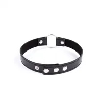 collar-with-hoop-adjustable-382-cm-black-843658379378-cl843658379378.jpg