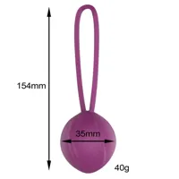 leigh-kegel-ball-silicone-purple-er69651-cler69651.jpg