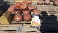 RMY Himalayan Pink Salt Foot Dome,Himalayan Salt Foot Lamp,What is a Foot Detox Dome Lamp and How... - image 2