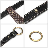 rebellion-reign-tie-collar-lo-lv761204-cllo-lv761204.jpg
