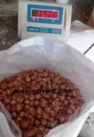RMY Soap Nuts Shell,Soap nuts are deshelled?,RMY soap nut shell detergents - image 2
