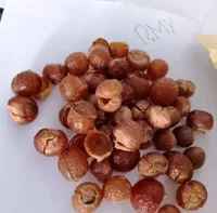 Soap Nuts Shells 5kg,RMY Soap Nuts Shells PP Packaging,Soap Nuts Shells,Benefits of Soap Nuts,Top... - image 3