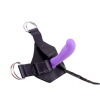 harness-and-dildo-amor-cn-522033976-clcn-522033976.jpg