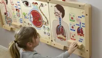 MASTERKIDZ-Tablica-Edukacyjna-Uklad-Oddechowy-Montessori__1291090__1200.jpg