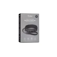collar-with-leash-black-et370blk-clet370blk.jpg
