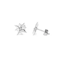 ladies-earrings-radiant-ry000032-s0800616-bbs0800616.jpg