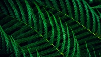 02b21c52ae149f34c17d2db5e1c5e276.jpg