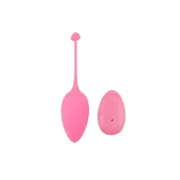 vibrating-egg-remote-control-sweety-teaser-usb-57-cn-801598826-clcn-801598826.jpg