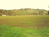 n17.JPG