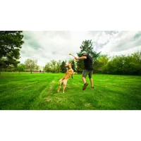 ball-launcher-for-dogs-hunter-yellow-orange-rubber-ball-s6104549-bbs6104549.jpg