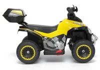 Quad-na-Akumulator-GTS1188-A-Zolty__1233861__1200.jpg