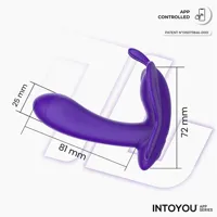 wingy-butterfly-vibrator-with-app-dark-purple-in-317-clin-317.jpg