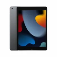 tablet-apple-ipad-a13-3-gb-ram-6-gb-ram-256-gb-grey-m0802119-bbm0802119.jpg