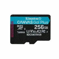 micro-sd-memory-card-with-adaptor-kingston-sdcg4-256gb-256-gb-m0810702-bbm0810702.jpg