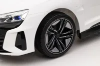 Auto-Na-Akumulator-Audi-E-Tron-GT-QLS-6888-Biale__829897__1200.jpg