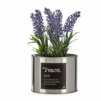 decorative-plant-ibergarden-metal-plastic-can-lavendar-10-x-18-x-10-cm-6-units-s3618425-bbs3618425.jpg