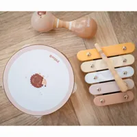 VIGA-PolarB-Zestaw-Instrumentow-Muzycznych-Z-Jezykiem__1258295__1200.jpg